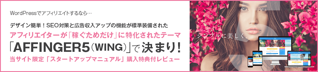 初心者限定特典付AFFINGER5レビュー